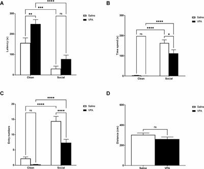 Intact maternal buffering of stress response in infant rats despite altered responsivity towards maternal olfactory cues in the valproic acid model of autism-like behavior